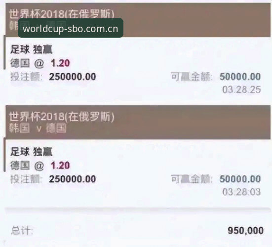 世界杯买球平台全面解析：世博体育手机版新手入门与操作详解
