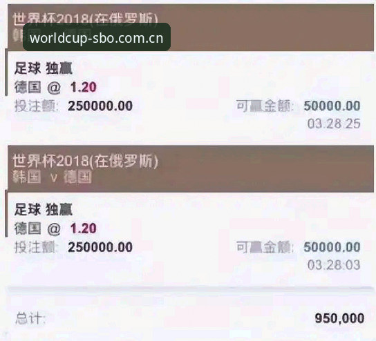 世界杯买球平台实用指南：世博体育APP操作全流程解析